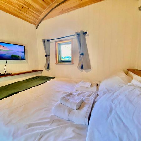 Romantic Nature Retreat, Luxury Glamping & Stargazing Views - Dragonfly Shepherd Hut Yarpole المظهر الخارجي الصورة