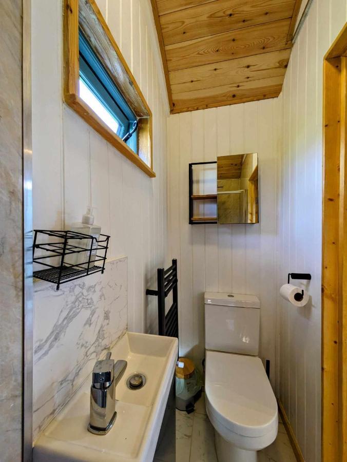 Romantic Nature Retreat, Luxury Glamping & Stargazing Views - Dragonfly Shepherd Hut Yarpole المظهر الخارجي الصورة